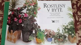 Rostliny v bytě, Izbové rastliny(slovensky) - 2