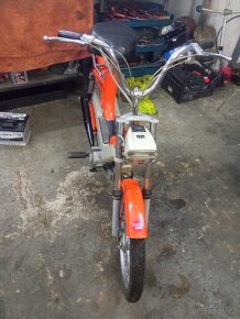 Moped Benelli  1979 - 2