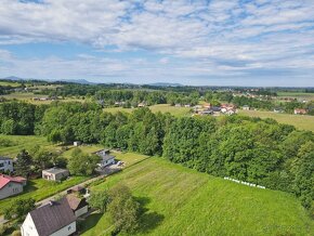 Prodej, stavební pozemek s lesem, Dolní Domaslavice - 2