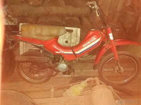 Honda Px50 - 2