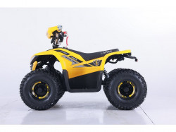 Čtyřkolka elektrická LAMAX eBumbleBee ATV60M - 2