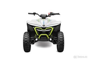 CFMOTO EV 110 - 2