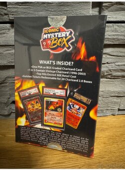 Charizard mystery box - 2