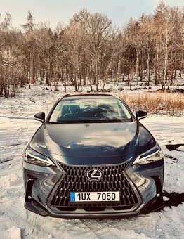 Lexus NX350h - 2