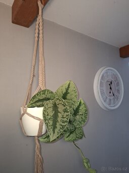 Macrame závěs na květináč - 2