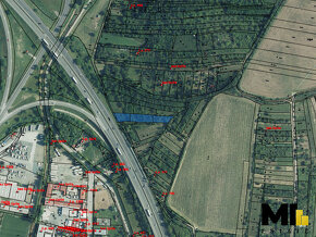 Prodej podílu 1/4 zahrady, vinice 522 m2 v obci Hustopeče u  - 2