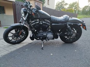 Harley Davidson 883 sportster - 2