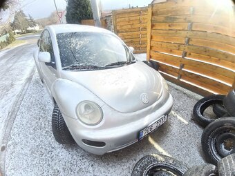 New Beetle brouk - 2