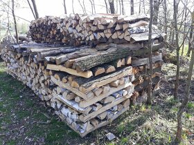 Tvrdé dřevo - 2
