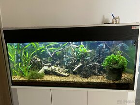 Akvarium 160l + život - 2