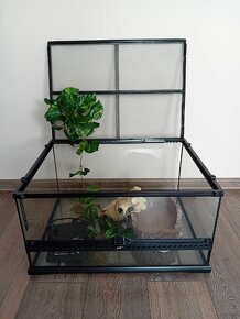 Hagen terarium Exo terra 60x45x30 - 2