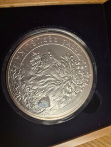 Stříbrná mince Český Lev 10 oz 2021 hologram standard - 2