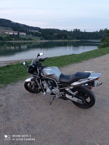 Yamaha FZS1000 - 2