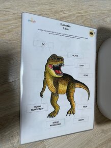 Box - DINOSAUŘI - 2