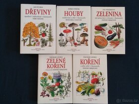 Koření, Zelenina, Houby, Dřeviny - 2