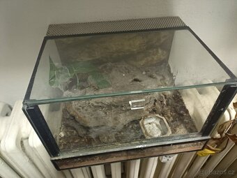 Terarium na pavouka - 2