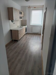 Pronajmu byt 2+1 .70m². Parkovani,Špajs.klep - 2