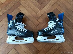 Bauer Nexus pure control - 2