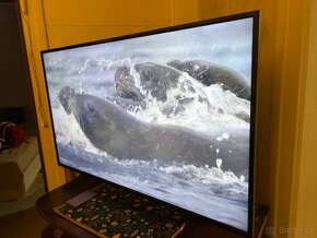 TV LG 43” 43LH501C - 2