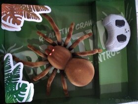 Tarantule - 2