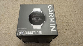 Garmin Forerunner 955 - 2