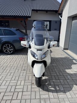 SUZUKI BURGMAN 650 - 2