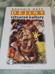 Dějiny výtvarné kultury 2-3-4 - 2