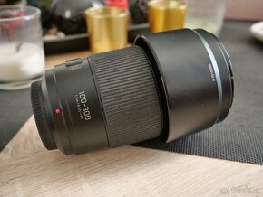 Panasonic 100-300 II 4,0-5,6 - 2