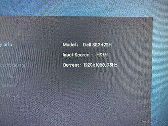 DELL SE2422H - 2