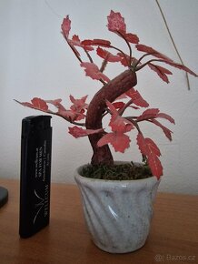 Umělá bonsai - 2