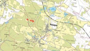 Les, prodej, Velešice, Pačejov, Klatovy - 2