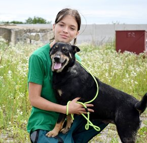 JELLA K ADOPCI - přátelská, vděčná, miluje lidi, k dětem - 2