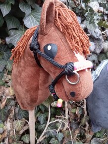 Hobby horse - 2