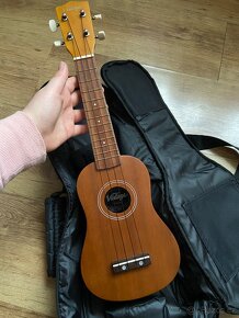 Vintage ukulele - 2