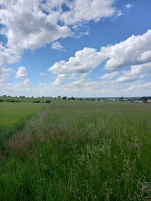 Prodám sad/louku u Kroměříže; 16 013 m2 s elektřinou - 2