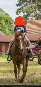 Ježdění na koni pro děti - 2