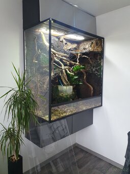 Terarium - 2