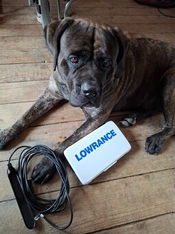 Sonar  LOWRANCE - 2