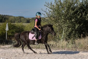 Šikovná pony kobylka - 2