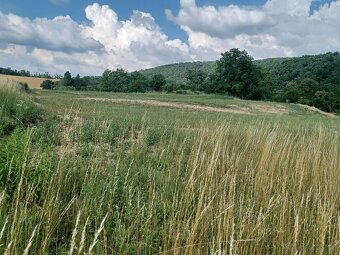 Stavební pozemek 1037m2 Stříbský mlýn u Ivančic - 2