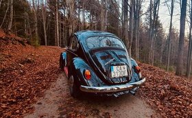 VW Brouk 1300 1971 - 2