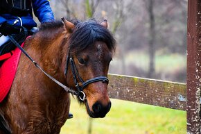 Pony valášek - 2