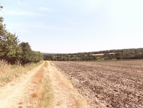 Prodej orné půdy v k.ú. Uherský Brod o výměře 16 734 m2 - 2