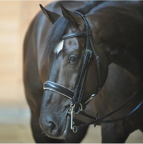 Nová drezurní uzda Kavalkade Soft Double bridle - 2