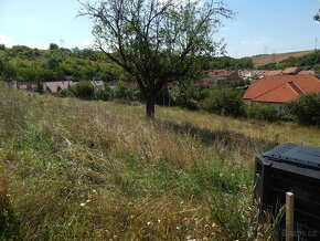 Bošovice, prodej pozemku 1000 m2 - 2