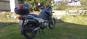 Suzuki xf 650 freewind - 2