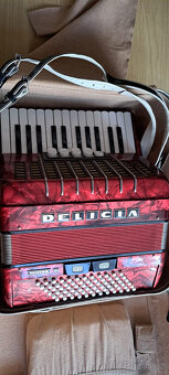 Harmonika-Delicia III. Junior - 2