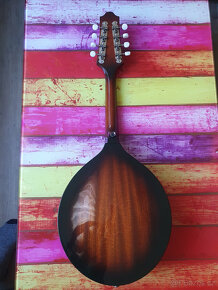 Celomasivní mandolína FURCH ..model A - 2