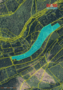 Prodej, les, 16113 m2, Buřany, Jablonec nad Jizerou - 2