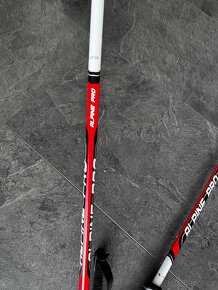 Lyzarske hulky Alpine pro - 85cm - 2